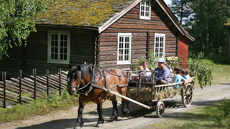 hest_og_vogn_sommer