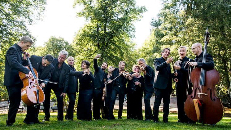 Musica Vitae