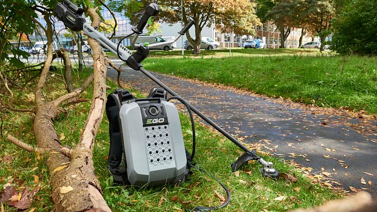 BCX3800 Trimmer/Röjsåg