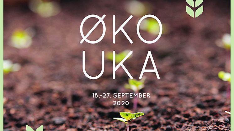 ØKOUKA arrangeres over hele landet, og med en rekke arrangementer for liten og stor. Foto: Økologisk Norge