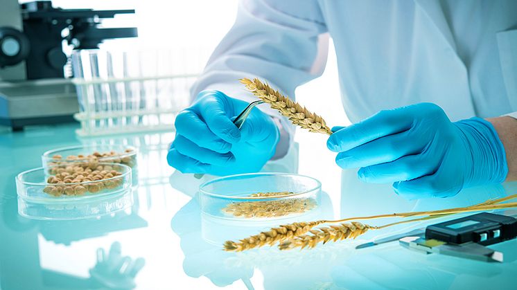 Webinar om GMO analyser
