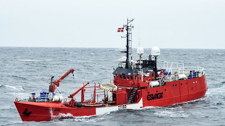 Esvagt Bravo