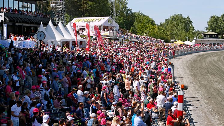 Många besökare under Solvallas Elitlopp. Foto: Maria Holmén, TR Bild