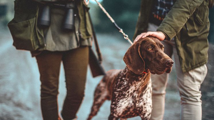 Gothaer Bewegungsjagdversicherung: Neues Angebot für optimalen Schutz von Jagdhunden