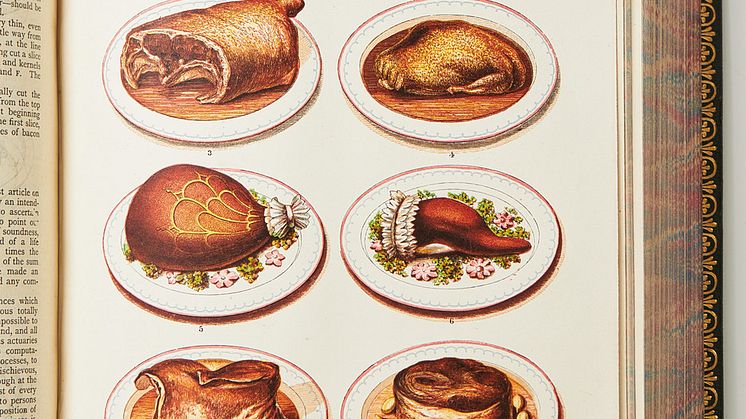 Cassell's Household guide
