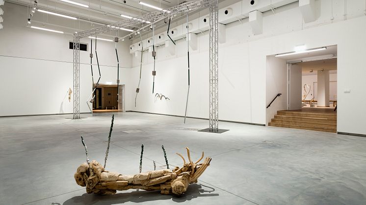 Hösten på konsthallen Accelerator