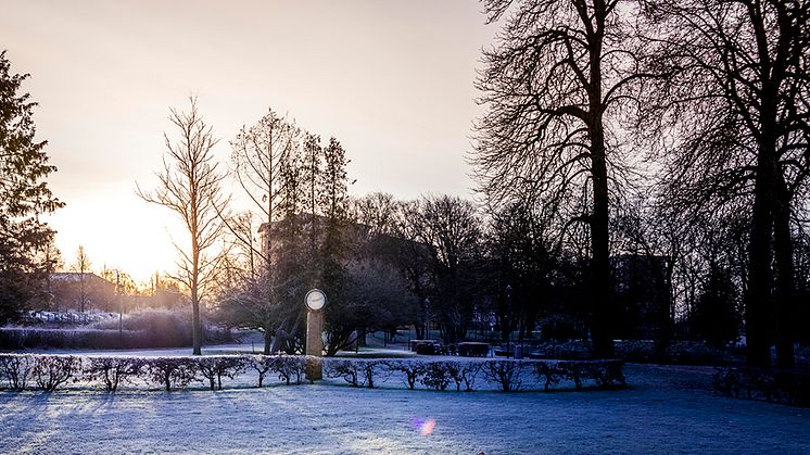 Höga elpriser och ansträngt elnät 9-18 december
