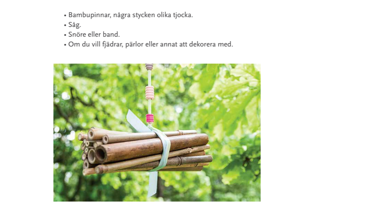 Lektionexempel: Bygg ett bihotell 