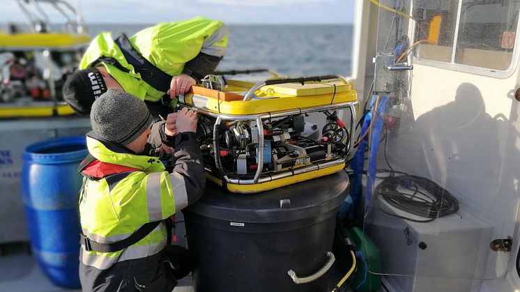 Saneringen av miljöfarliga vrak inleds: Nu töms fiskefartyget Thetis på olja