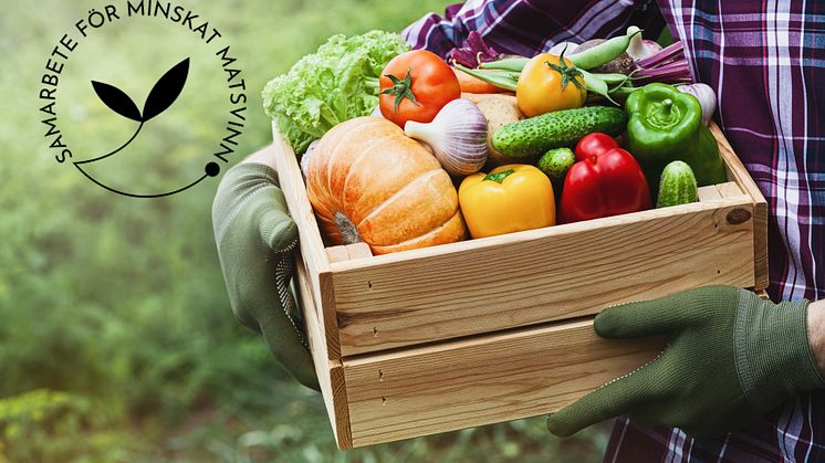 Samarbete ska öppna fler vägar för minskat matsvinn - Greenfood ansluter sig till SAMS, en nationell överenskommelse om minskat matsvinn