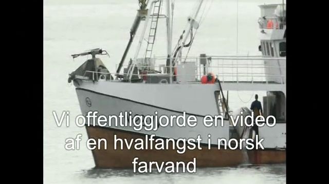 2010: Et år med forbedringer for dyrene