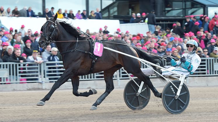 Onsdagens vinst i Meadow Roads lopp gav direktplats till Elitloppet 2024 för Don Fanucci Zet. Foto: TR Bild