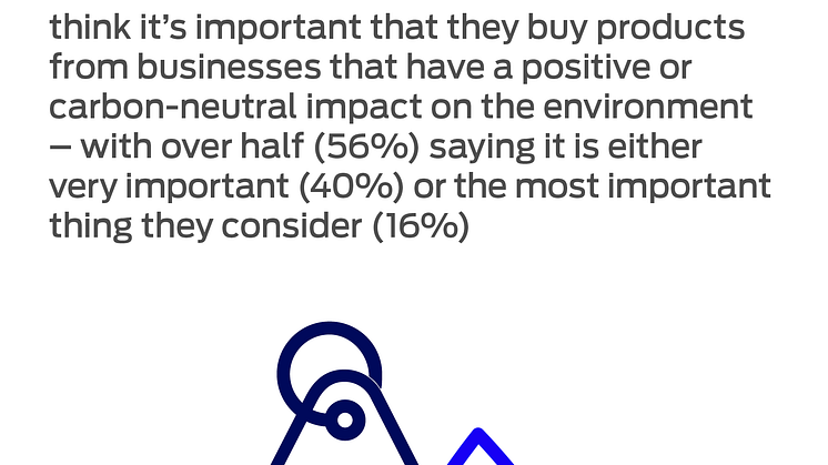 Buying Green Infographic