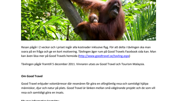 Vinn en unik volontärresa till Borneo!