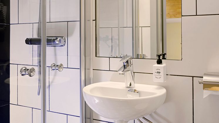 Rex Petit - Private batroom with toilet and shower