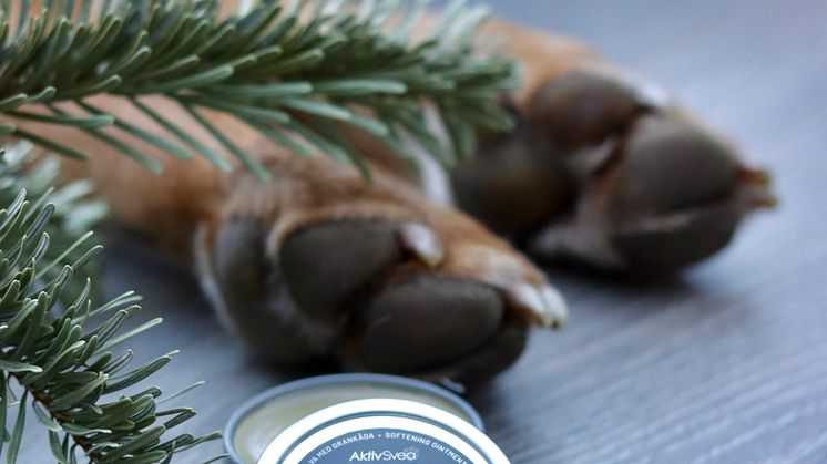 AktivSvea Paw & Skin Balm