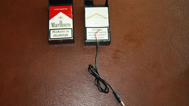 Ringleaders of tobacco smuggling gang behind bars