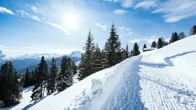 Winterwanderung Naturpark Beverin 