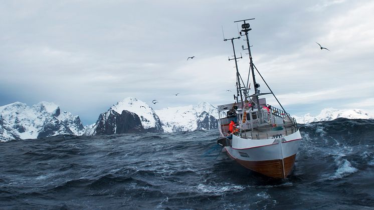 Hvordan skal Norge vinne torskemarkedet i 2021? 