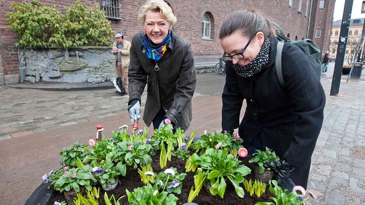 Ulla Hamilton (M): Nu är vårens romantiska blommor här