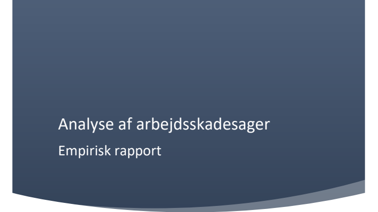 Empirisk analyse af arbejdsskadesager