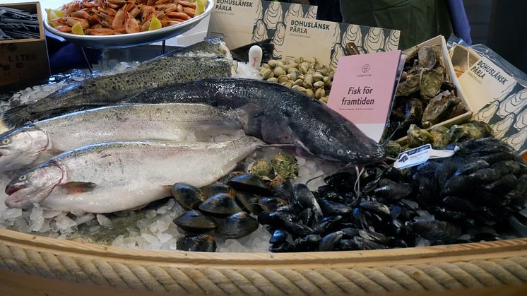 Logo Nordic Seafood Summit