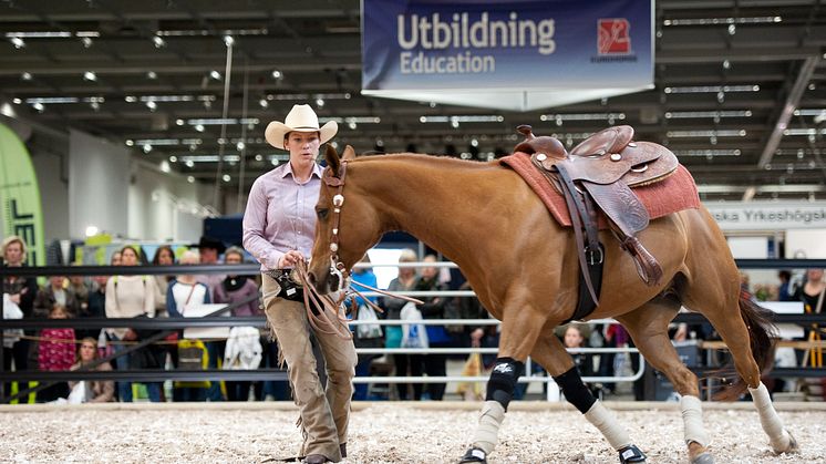 EuroHorse 2013