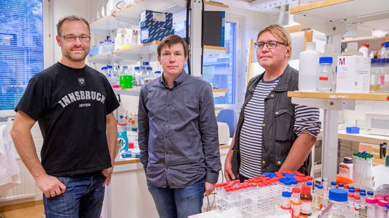 Vetenskapligt genombrott: Jonisk vätska högintressant för att utvinna molekyler ur trä