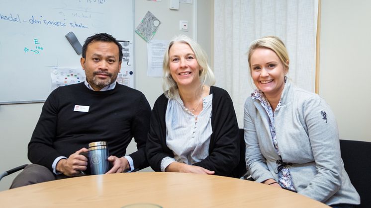 Bild: Skövde kommun. Bilden är fri att använda i media.