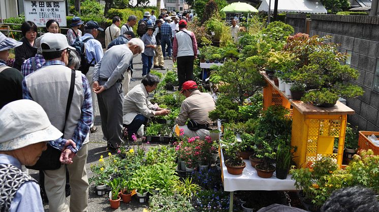 Omiya Bonsai Festival(1)