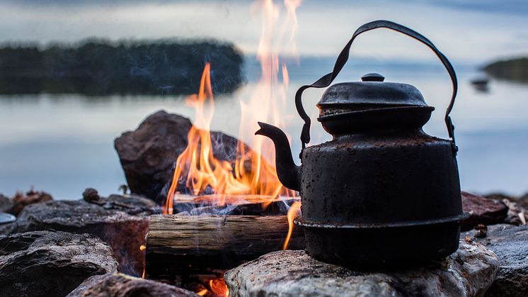 Wildlife kaffe