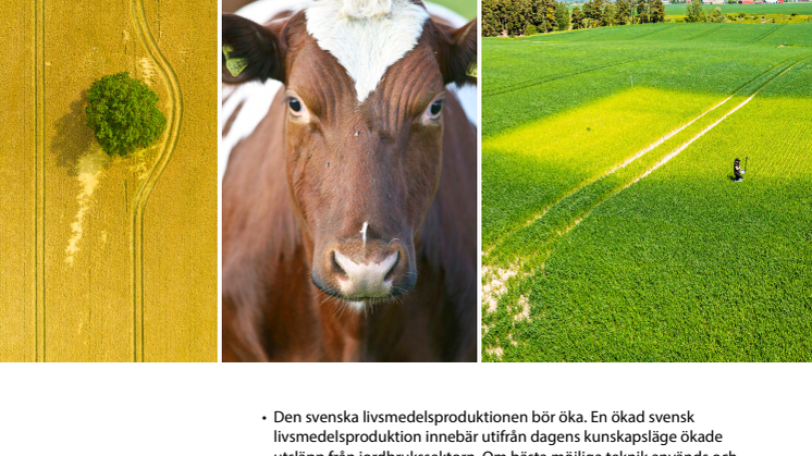 Rapport om jordbrukets roll i arbetet med det nationella klimatmålet.pdf