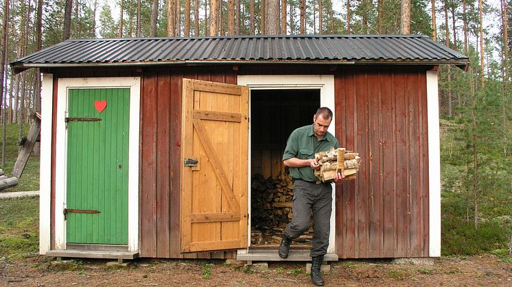 Stor spridning av sorkfeber befaras i höst