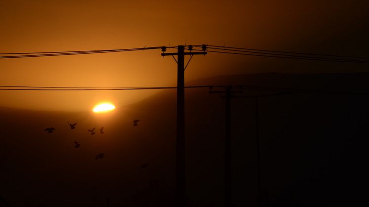 Foto: Tomas Nunez