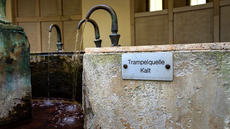 Bad Pyrmont_Trampelquelle im Kurpark(c)TMN_Alexander Kassner.jpg
