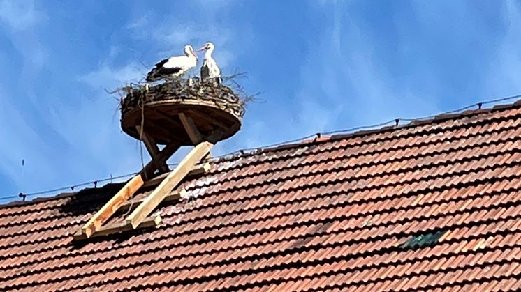 Mit einer Hebebühne wird das neue Storchennest auf das Scheunendach des Margot-von-Schutzbar-Stiftes transportiert. (Foto: privat)