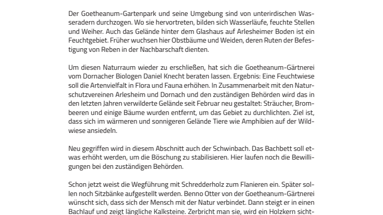 Goetheanum-Park: Einrichten eines Feuchtgebiets