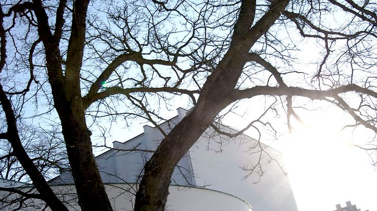 Huset2