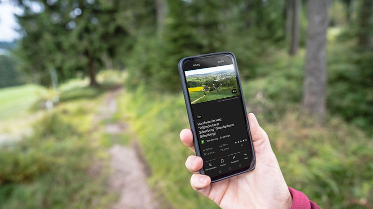 Wandernadeln am Rundwanderweg „W@nderbarer Silberberg“ digital sammeln (Foto: TVE)