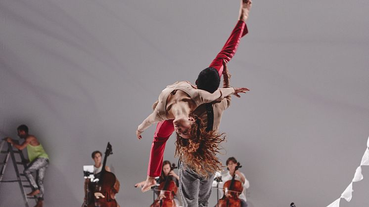 Goldberg Variation