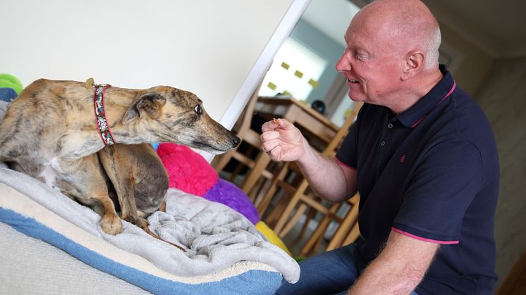 Dave Wilson turned to a four-legged friend to help him make lifestyle changes after his stroke – a rescue greyhound called Rory.  Rory helps gives Dave the motivation to exercise and improve his health, cutting the risk of a further stroke.