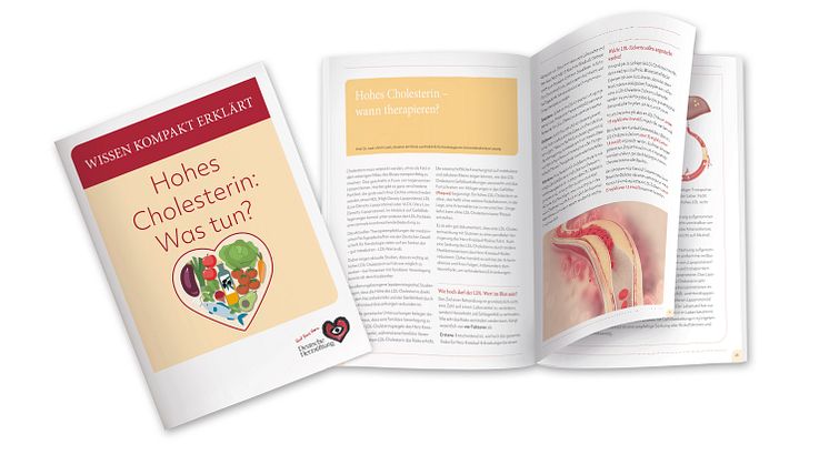 Collage_Herzstiftungs-Ratgeber-Cholesterin.jpg