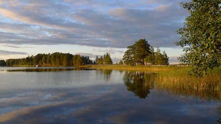 Sjön Öjaren i Sandviken. Foto: Johan Strandberg