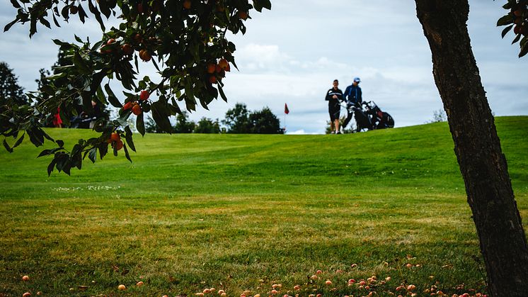 Golfare Kävlinge GK