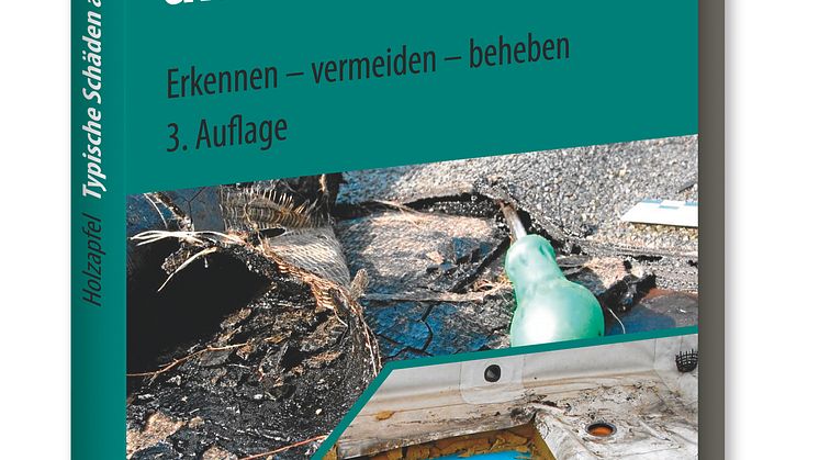 Typische Schäden am Dach 3D (tif)