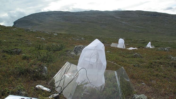 GHG measurements at Kilpisjärvi Anne Tolvanen.JPG