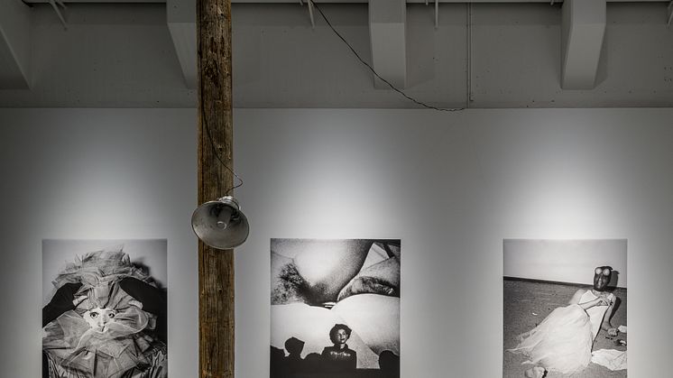 Installationsvy_Choose Mutation with photographs by Annette Frick 