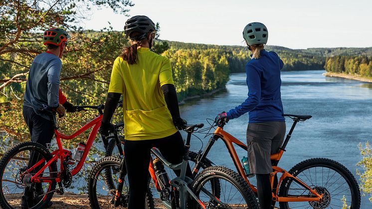 En modell för klimatanpassningsanalys av cykelleder har tagits fram inom Visit Umeås hållbara cykelprojekt. Foto Philip Avesand/Visit Umeå