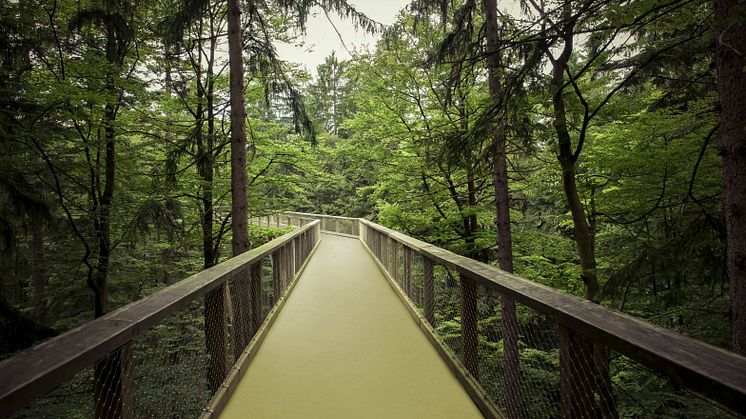 Marmoleum-green-road.jpg