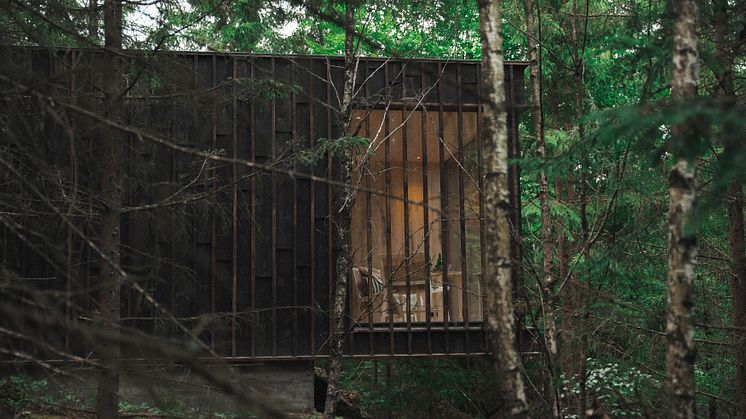 Hyssna Forest Resort - Treetop Cabin Foto_ Hyssna Forest Resort 13.jpg